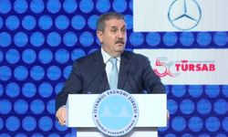 Destici: Enflasyonun yüzde 50'ler seviyesine geleceğini tahmin ediyoruz
