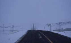 Kars'ta kar, Erzurum, Ardahan ve Ağrı'da soğuk hava etkili oluyor