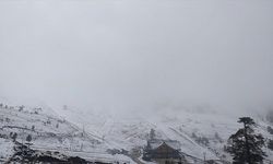 Kartalkaya'da kar yağışı etkili oluyor