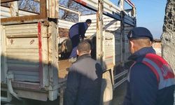 Sahte banka dekontla hayvan hırsızlığı yapan şahıs yakalandı