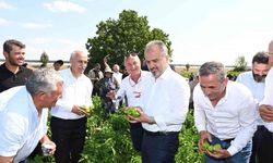 Bursa Büyükşehir’in çiftçiye tam desteği sürüyor