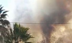 İznik’te sazlık alanda korkutan yangın