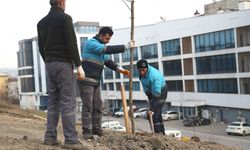 Nilüfer’de 5 binin üzerinde fidanın dikilmesi planlanıyor.