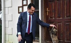 Osmangazi Belediyesi 7 bin 87 can dosta şifa buldurdu.