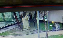 Bursa’da  kedi kulübelerini yakıp, çöp kutularına zarar verdiler