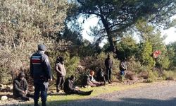Jandarma düzensiz göçmenleri sazlık alanda yakaladı