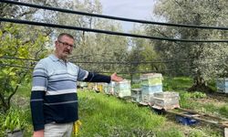 İznik'te Parmak yalatan hırsızlık