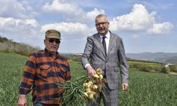 Soğan fiyatları bayramdan sonra düşecek