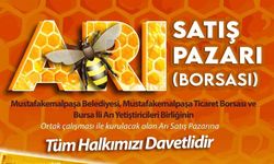 Türkiye’de bir ilk olan “Arı Pazarı” açılıyor.