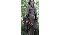 PKK/KCK terör örgütü mensubu oy kullanan şahıs yakalandı.