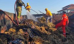 Bursa  Yenişehir ilçesindeki çiftlikte korkutan yangın