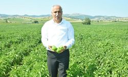 Yenişehir'de pazarda fiyatı çiftçi belirleyecek