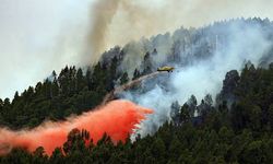 İspanya'nın Tenerife Adası alev alev yandı