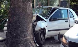 Sürücü otobüs durağına daldı, 1’i ağır, 3 kişi yaralandı.