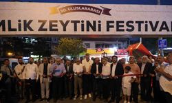 Gemlik Zeytini Festivali  başladı