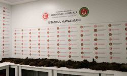 İnsan saçı kaçakçılarına gümrük muhafaza engeli
