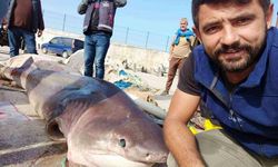 Bursa’nın Gemlik ilçesinde Jaws’la  öz çekim...