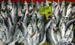 Denizlerin prensi ’lüfer’ yarı yarıya ucuzladı