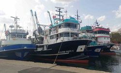 Marmara’ya  Hamsi bolluğu tayfaları  akın ettirdi