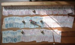 Köpek dövüştürüp bahis oynayanlara operasyon