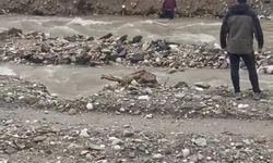 Balıklı Dere’de can pazarı