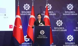 TCMB Başkanı Hafize Gaye Erkan: "Türk Lirasına geçiş başlamıştır"