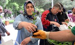 Yeşil Bir Gelecek İçin 50 Bin Fide Desteği