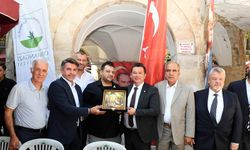 Kozahan aslına uygun yenilenecek