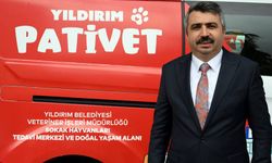Yıldırım Belediyesi'nden hayvan ambulansı hizmeti