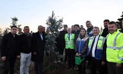 Hatıra Ormanı’nda 15 bin 28 fidanı toprakla buluştu