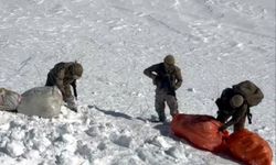 Hakkari’de Zehir tacirlerine ağır darbe vuruldu