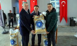 Üreticiye fidan ve tohum desteği