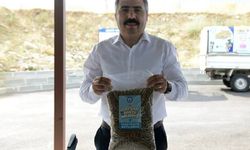 Atık Yemekler Can Dostlara Mama Oldu!