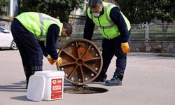 17 İlçede Dev Haşere ve Sinek Mücadelesi Başladı!