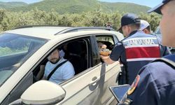 Sürücülere Ceza Yerine Çikolata