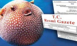 Balon Balığı avcılığı destekleri artırıldı.
