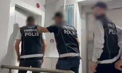 Narkotik 45,5 kilogram skunk ele geçirildi