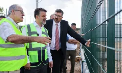 Sokak hayvanları için doğal yaşam alanı