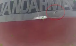 İzmir ve Muğla'da 132 düzensiz göçmen yakalandı