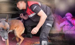 Jandarma'dan 28 ilde yasaklı madde operasyonu
