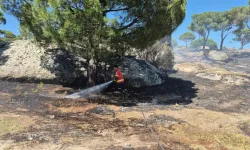 Muğla'da yangınların acı bilançosu! Her 10 yangından 7'si insan kaynaklı