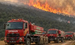 Ormanları yakanlar adaletten kaçamıyor!