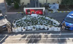 2 ton 200 kilo yasaklı madde ele geçirildi