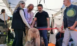Can dostları için yuva seferberliği
