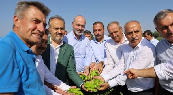 Başkan Alinur Aktaş, yaban mersini hasadının hayırlı olmasını diledi.