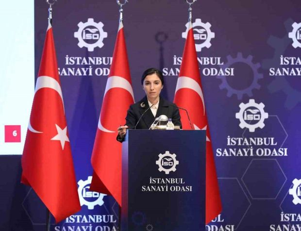 TCMB Başkanı Hafize Gaye Erkan: "Türk Lirasına geçiş başlamıştır"