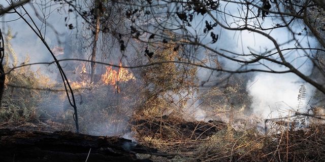 Fransa'da çıkan yangın 700 hektar alanı kül etti