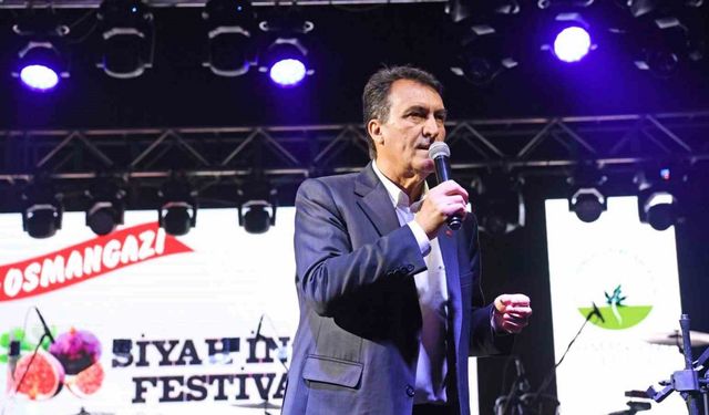 Siyah İncir görücüye çıktı.