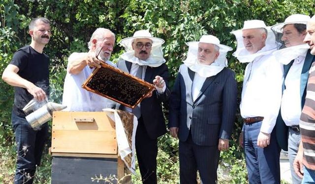 İnegöl’de bal hasadı başladı.