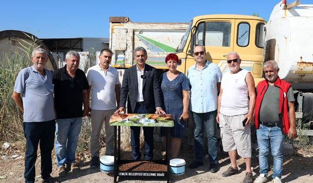 Başkan Deviren, sokaktaki canları besleme çalışmalarına katıldı